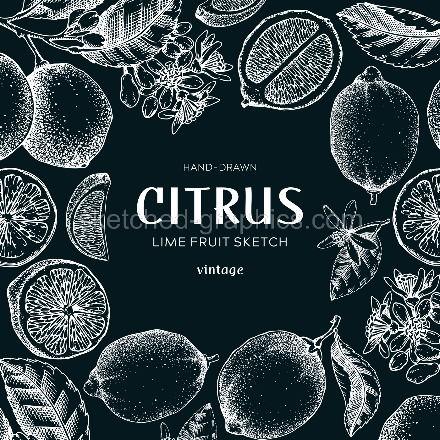 Lime fruit frame. Botanical design template. Citrus fruit sketches on chalkboard. Exotic plants banner. Hand drawn vector illustration. NOT AI generated Illustration